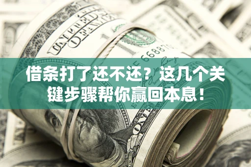 武汉借条打了还不还？这几个关键步骤帮你赢回本息！