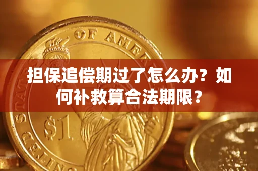 武汉担保追偿期过了怎么办？如何补救算合法期限？
