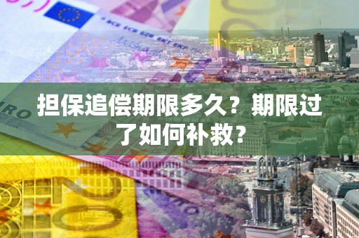 武汉担保追偿期限多久？期限过了如何补救？