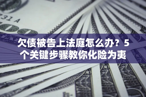 武汉欠债被告上法庭怎么办？5个关键步骤教你化险为夷